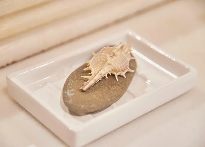 公寓 玛尔科思迷人公寓 *