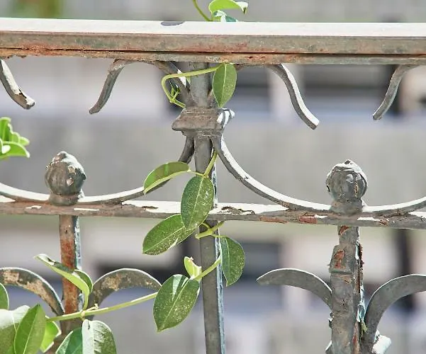 公寓 玛尔科思迷人公寓 *